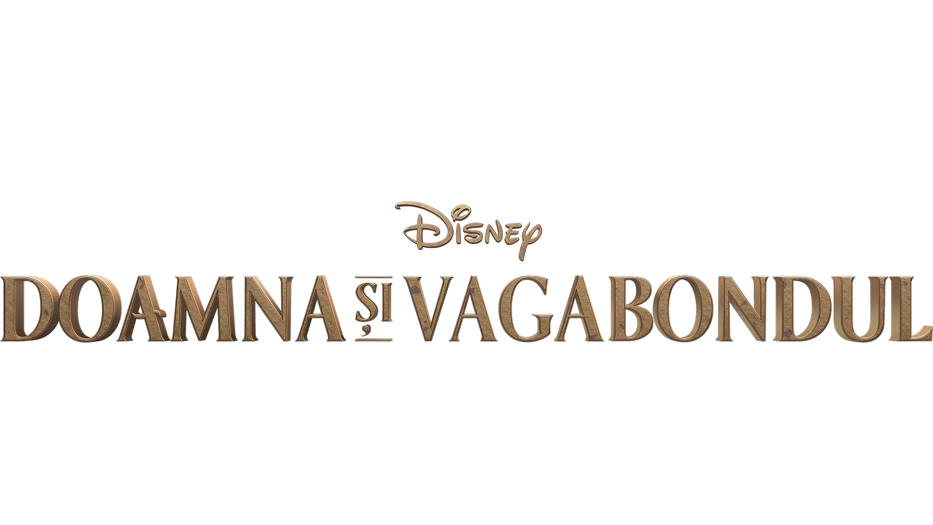 Doamna Și Vagabondul