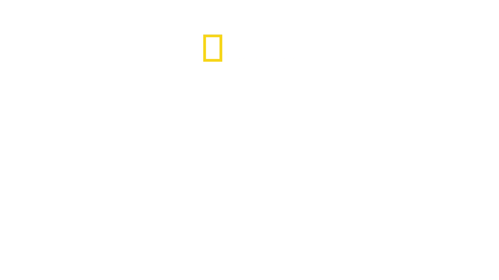Pohjois-Korea: Omaperäinen Kim-dynastia