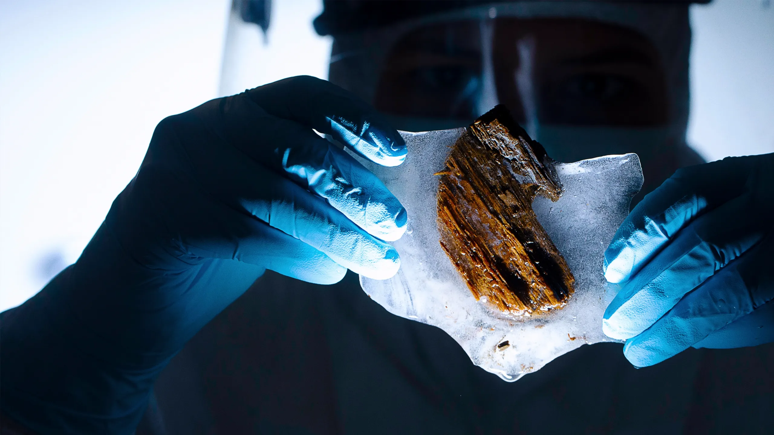 Clotilda: La Nave Degli Schiavi