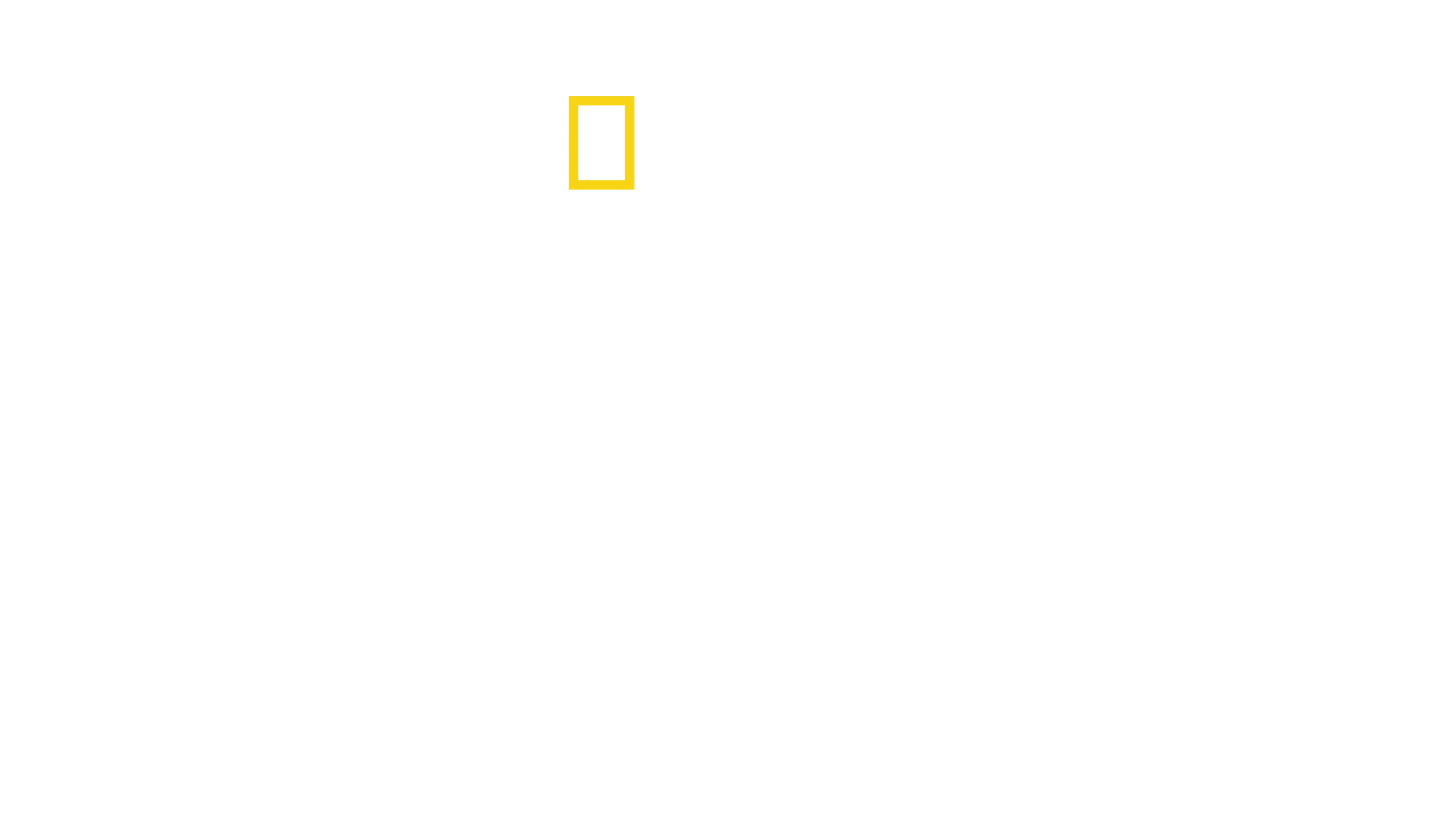 Tubarão Insaciável
