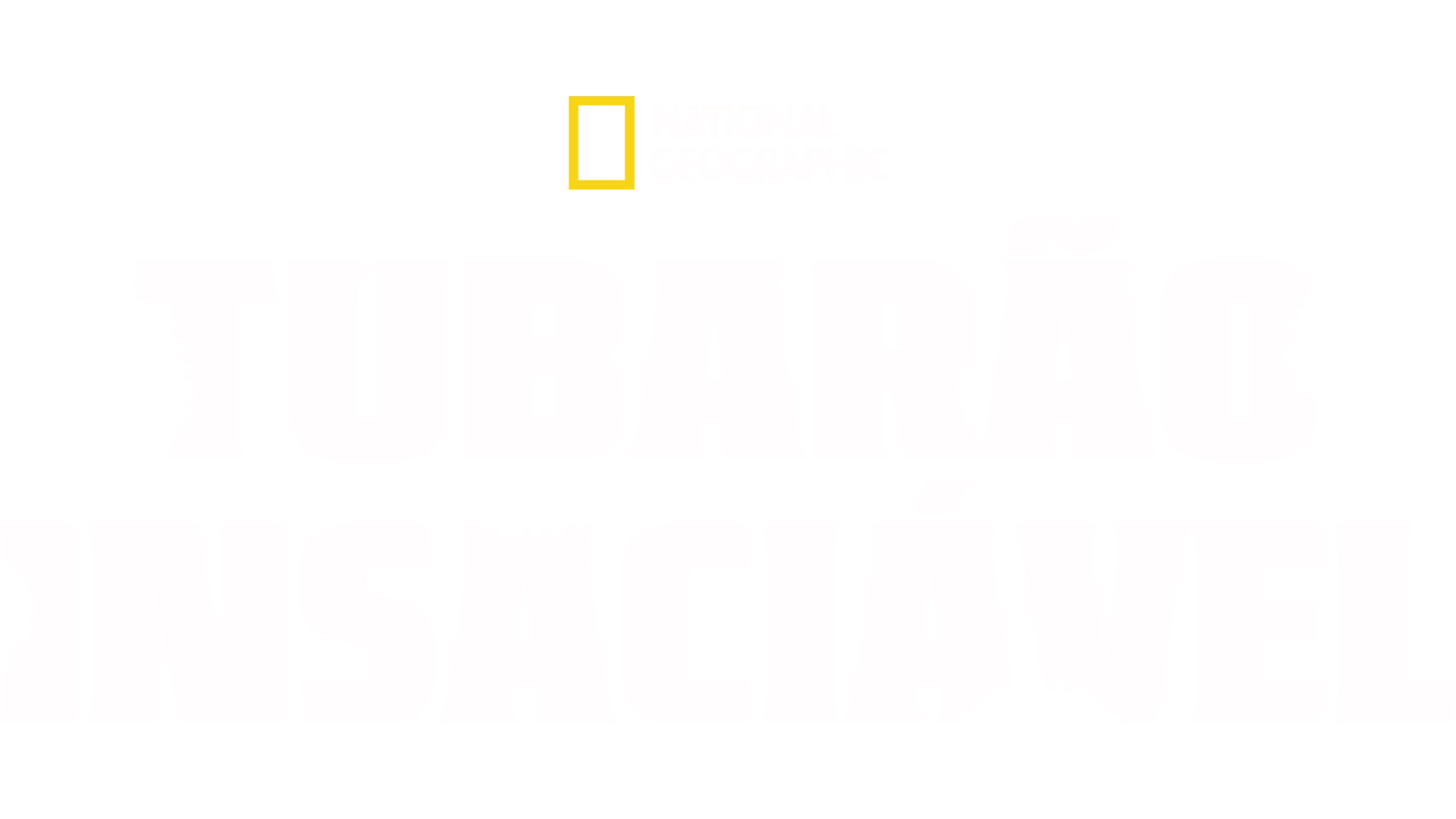 Tubarão Insaciável