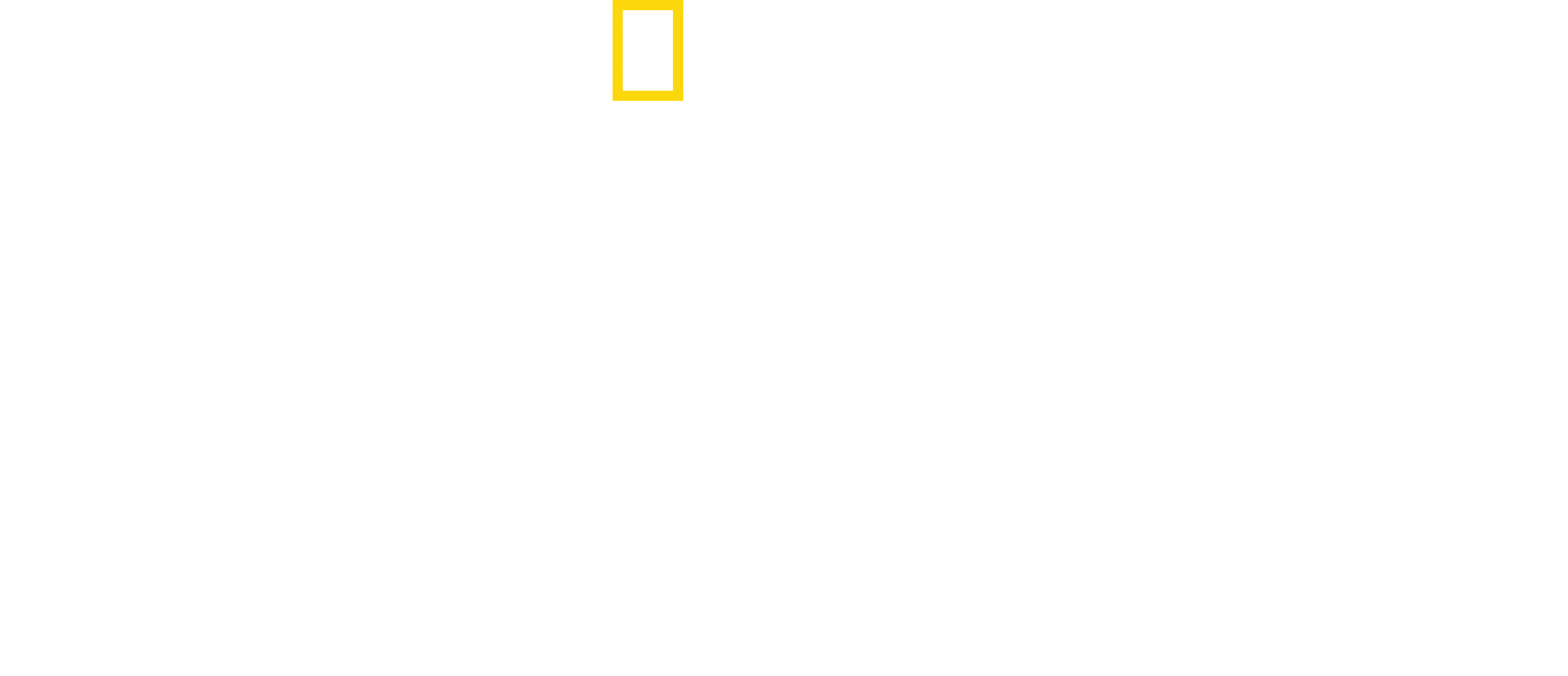 Tubarão Insaciável
