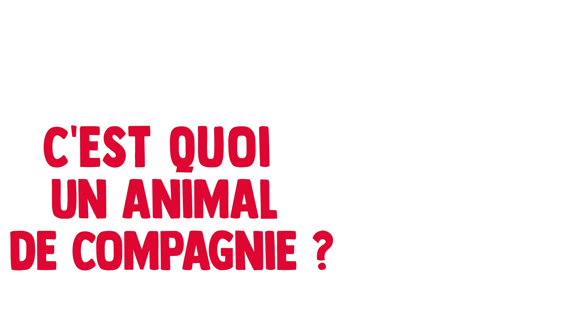 Fourchette se pose des questions : c'est quoi un animal de compagnie ?