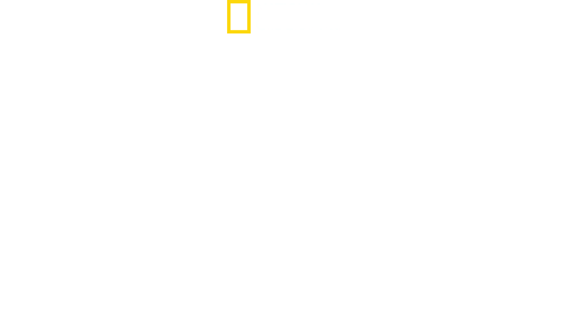 Ataques de Tubarão: Mistérios Revelados