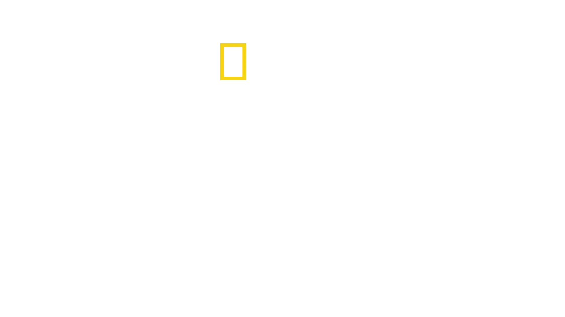 La dynastie des chiens de prairie