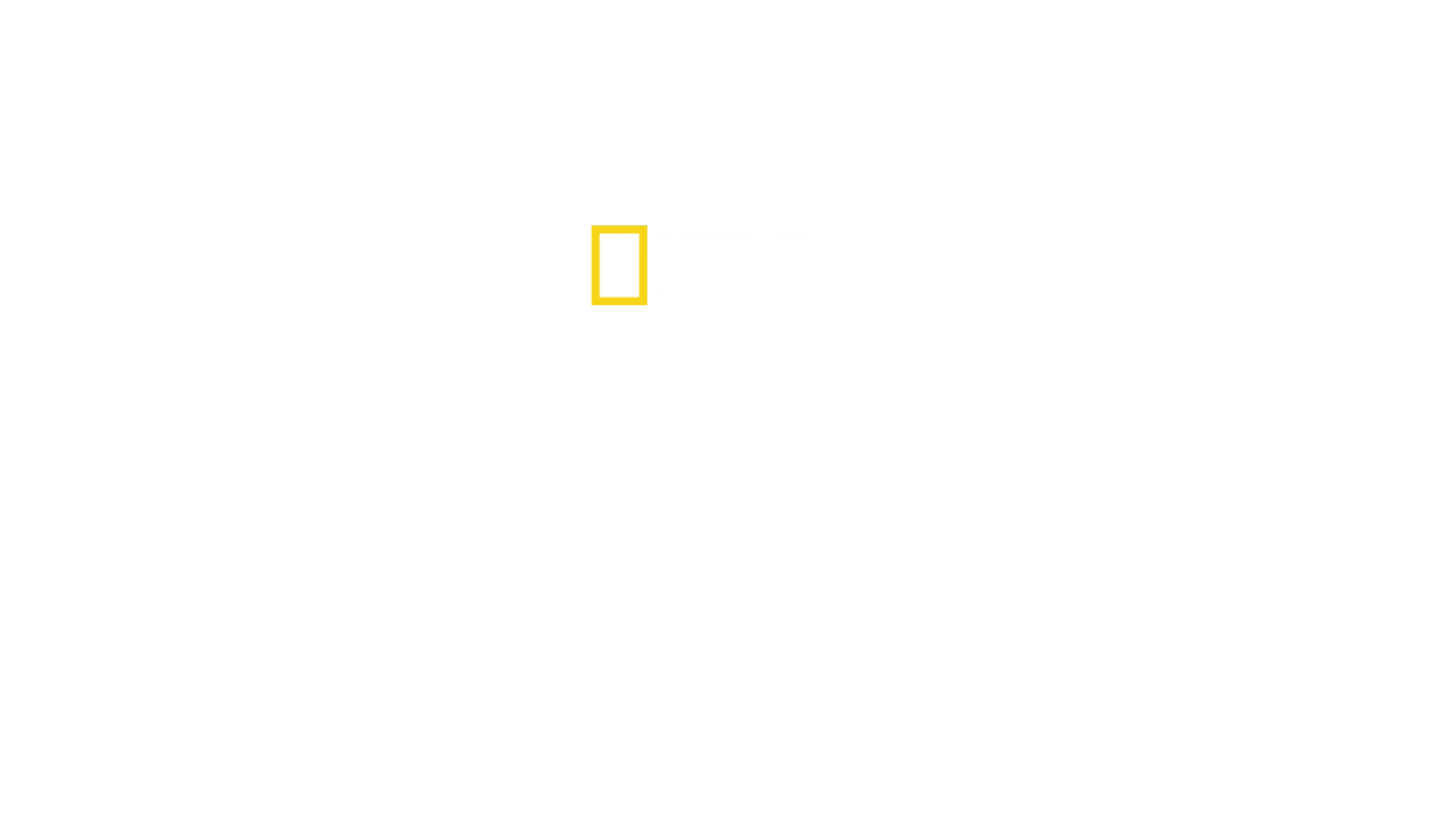 Tiburón vs. cocodrilo