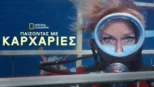 thumbnail - Παίζοντας με Καρχαρίες