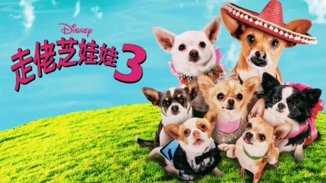 thumbnail - 走佬芝娃娃3