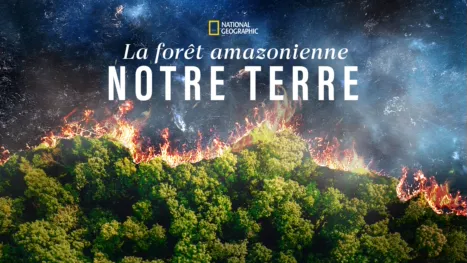 thumbnail - La forêt amazonienne : notre terre