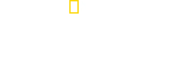 Mordercze państwo Hitlera