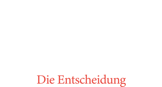 Charlotte Link - Die Entscheidung