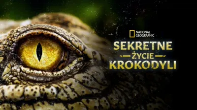thumbnail - Sekretne życie krokodyli