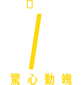 驚心動魄911