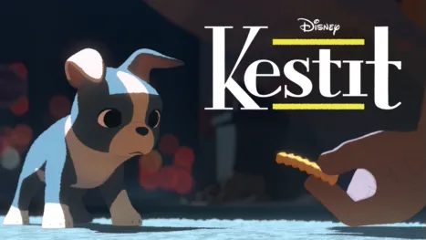 thumbnail - Kestit