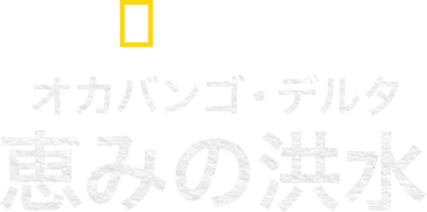 オカバンゴ・デルタ 恵みの洪水