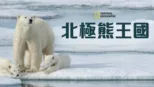 thumbnail - 北極熊王國