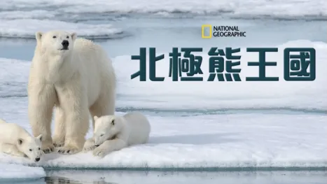 thumbnail - 北極熊王國