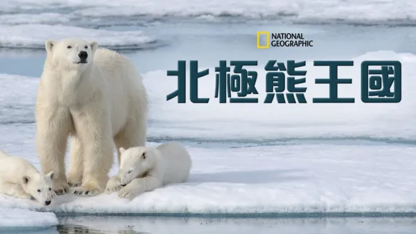 thumbnail - 北極熊王國