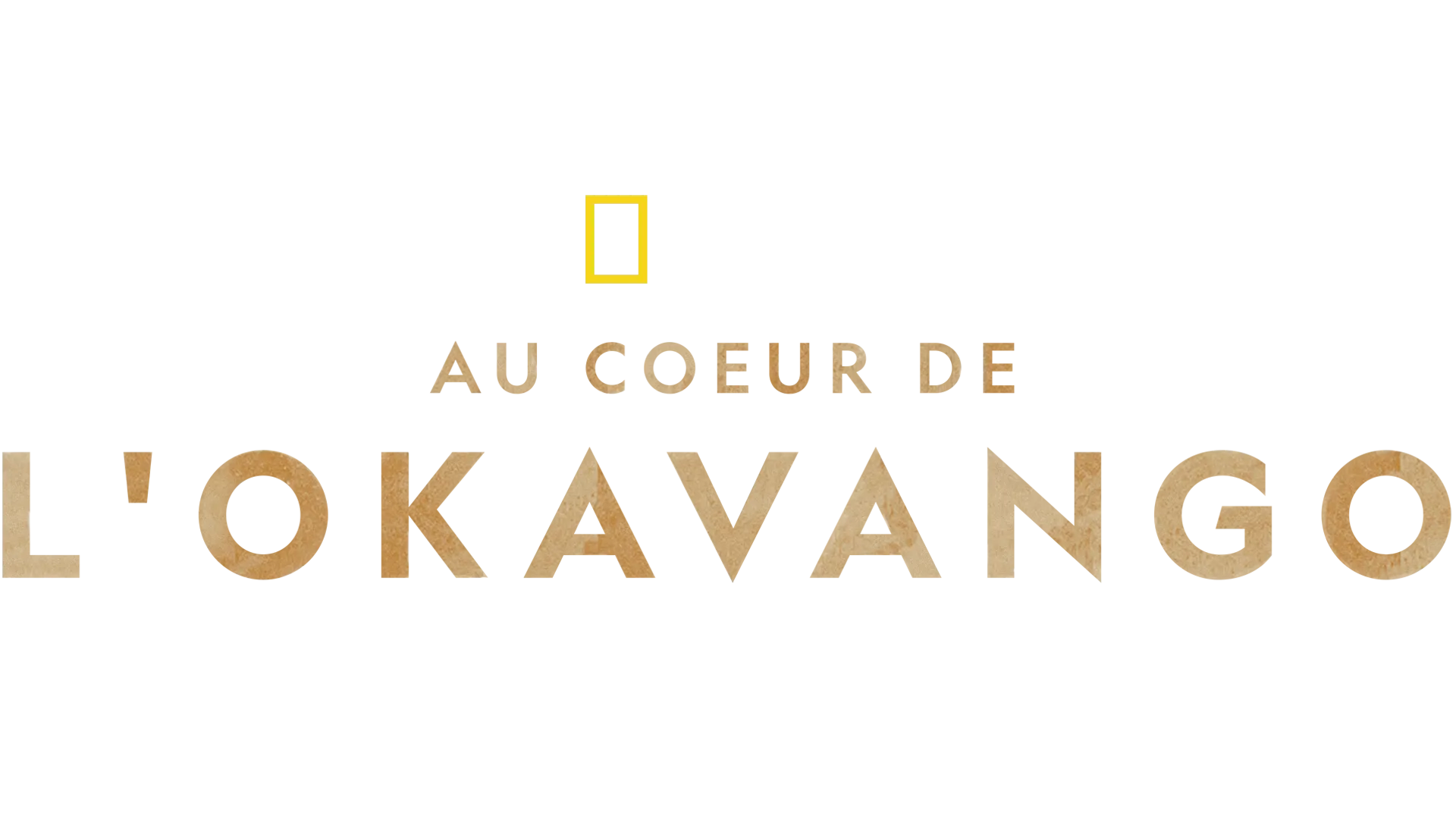 Au coeur de l'Okavango