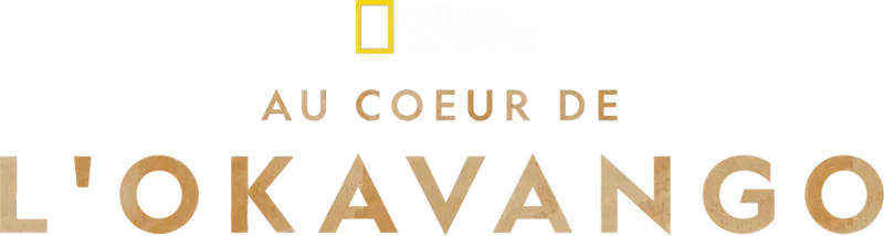Au coeur de l'Okavango