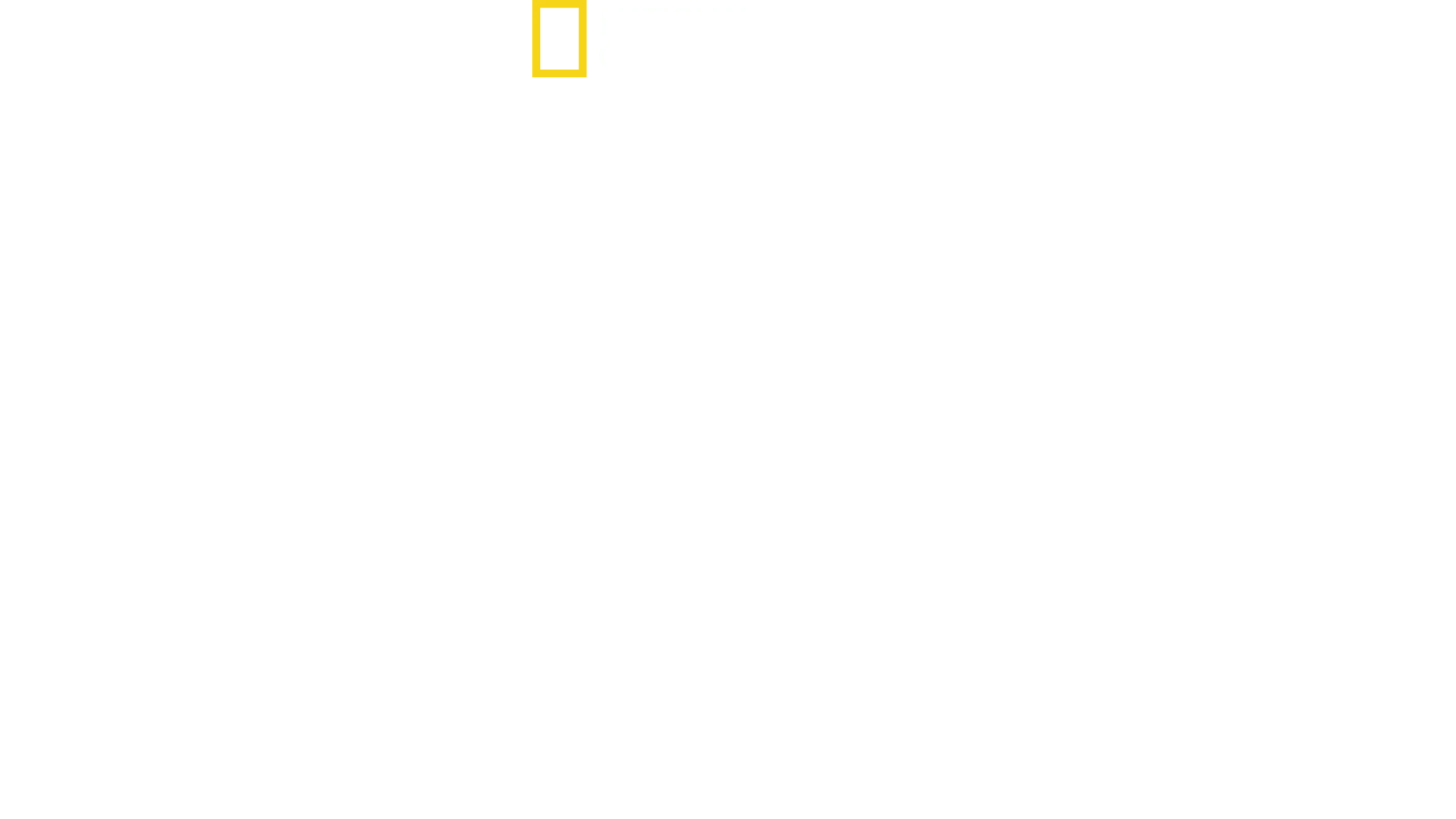 Tæt på Nordkorea: Kim-dynastiet