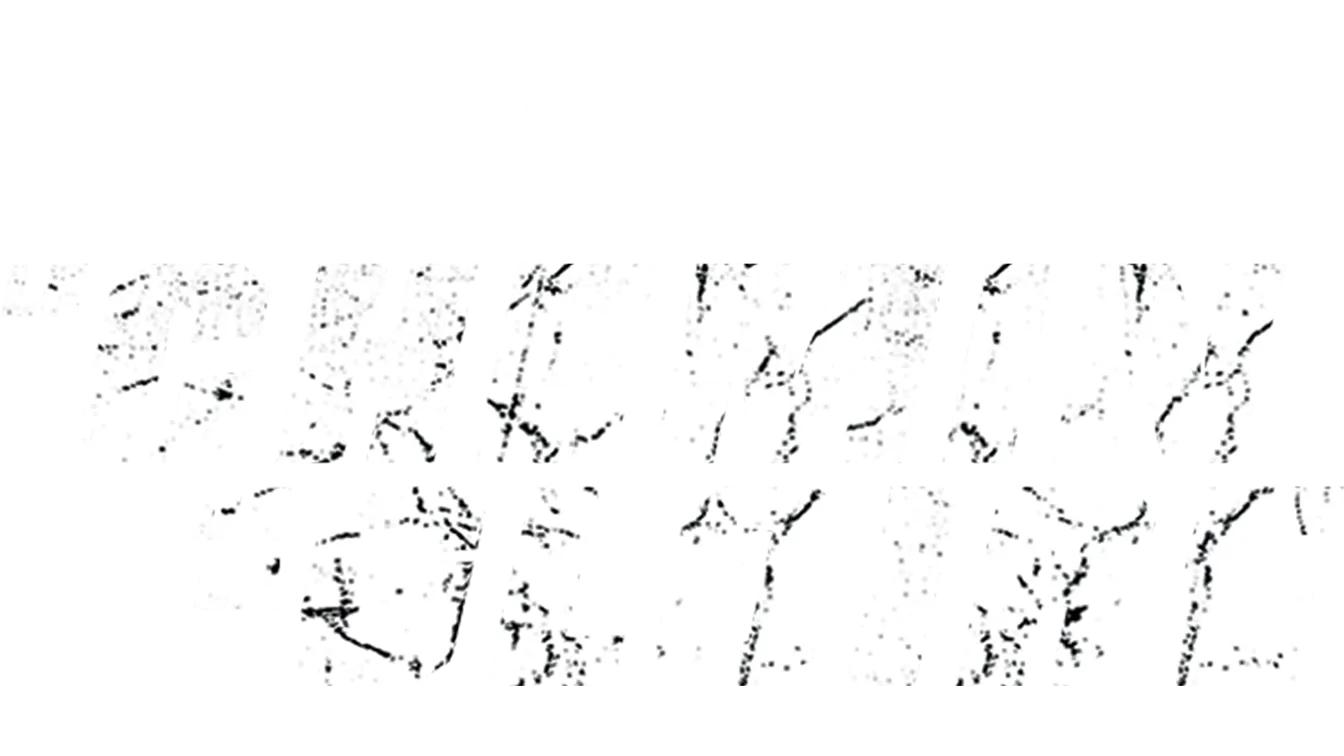 Le Chemin de la gloire