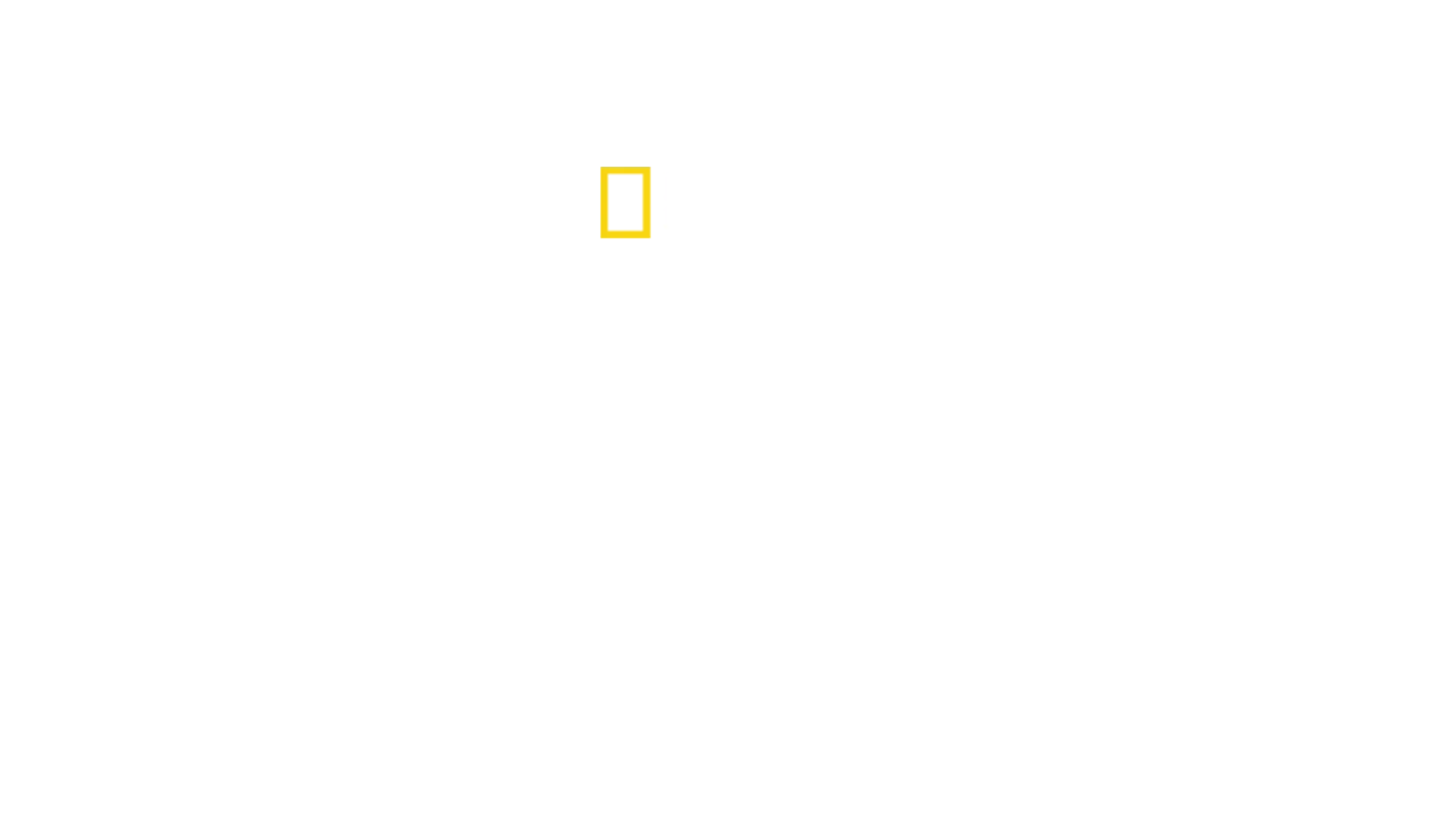 Milagre no Rio Hudson