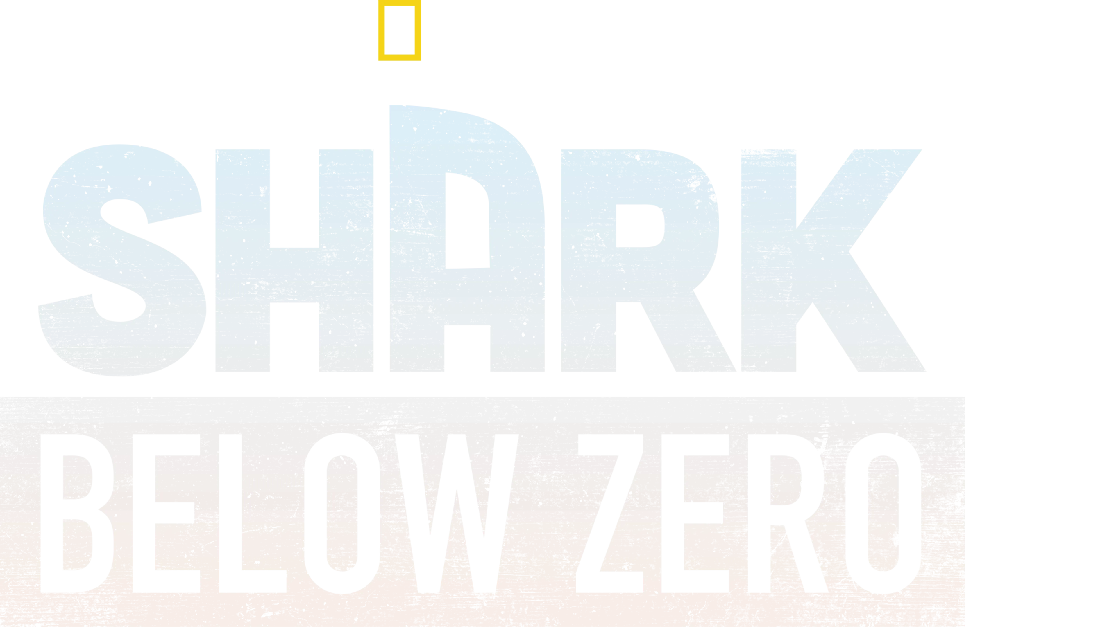 Shark Below Zero