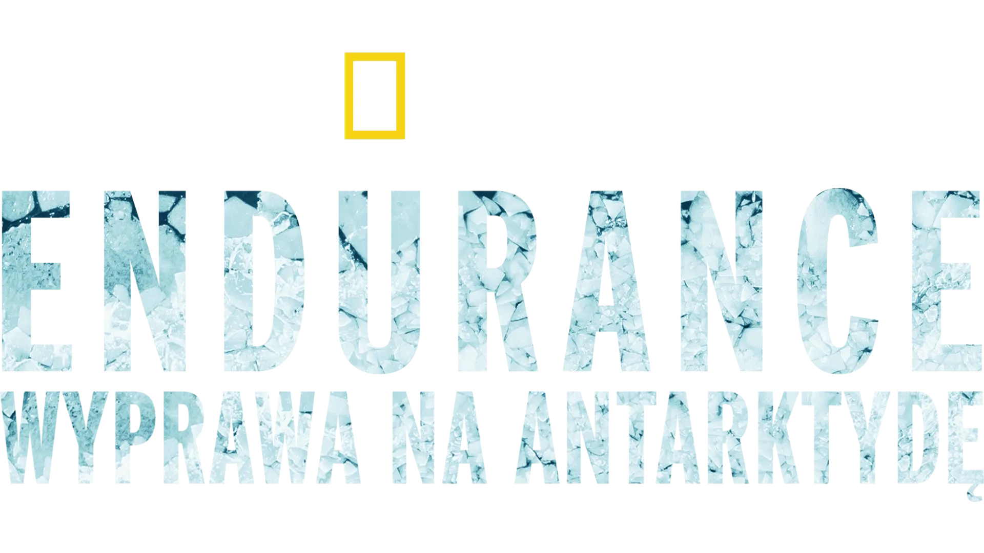 Endurance: wyprawa na Antarktydę