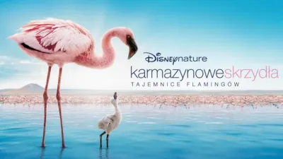 Karmazynowe skrzydła: Tajemnice flamingów
