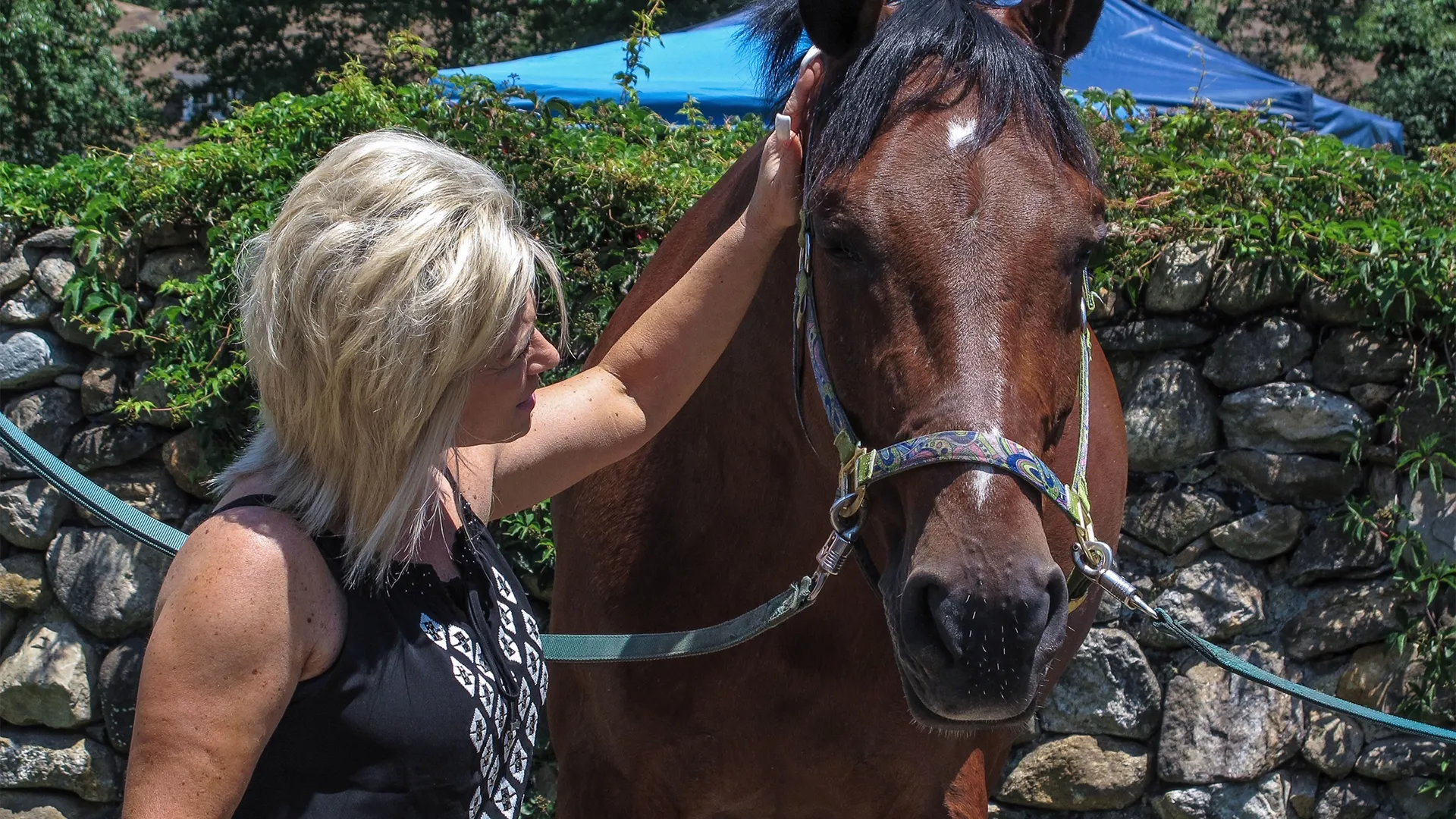 thumbnail - S7:E9 Horsing Around