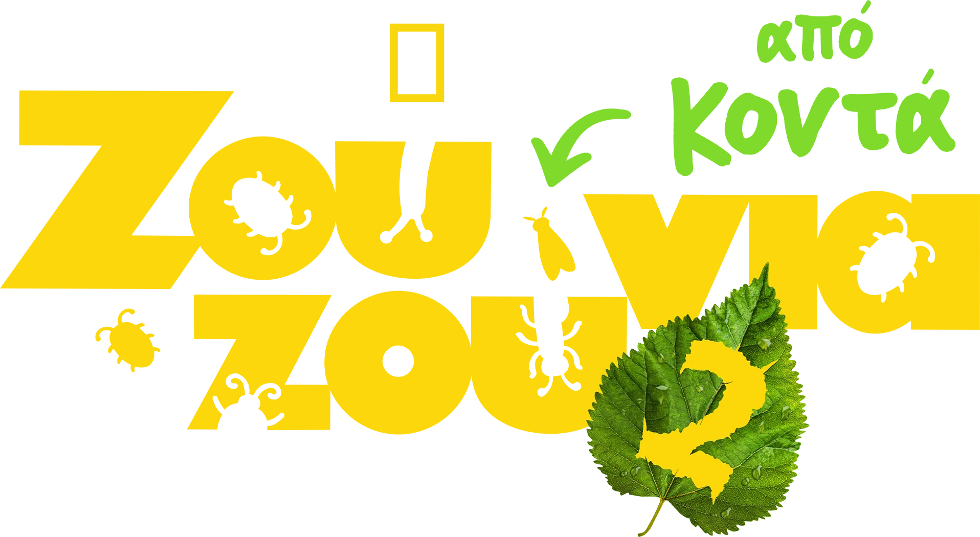 Ζουζούνια από Κοντά