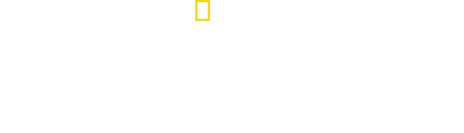 Étranges requins