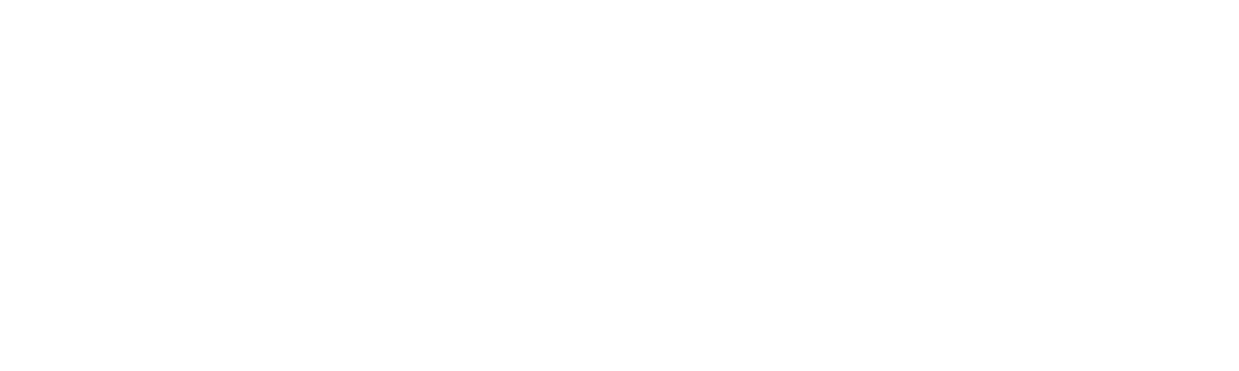 Detective Conan