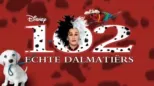 thumbnail - 102 Echte dalmatiërs
