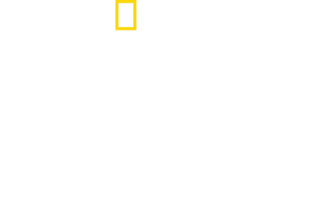 挑战者号航天飞机灾难真相