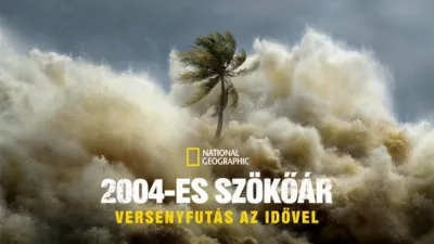 2004-es szökőár: Versenyfutás az idővel