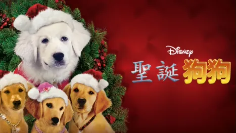 thumbnail - 聖誕狗狗
