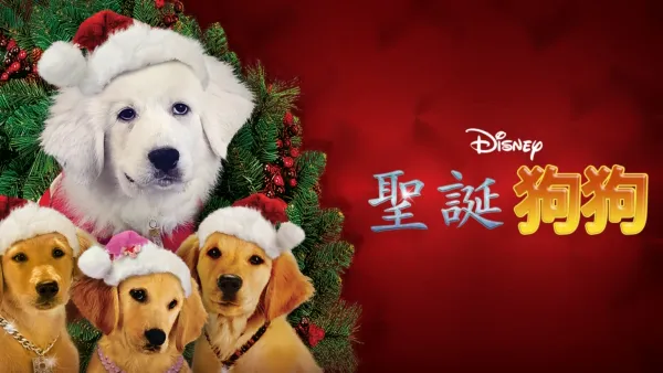 thumbnail - 聖誕狗狗