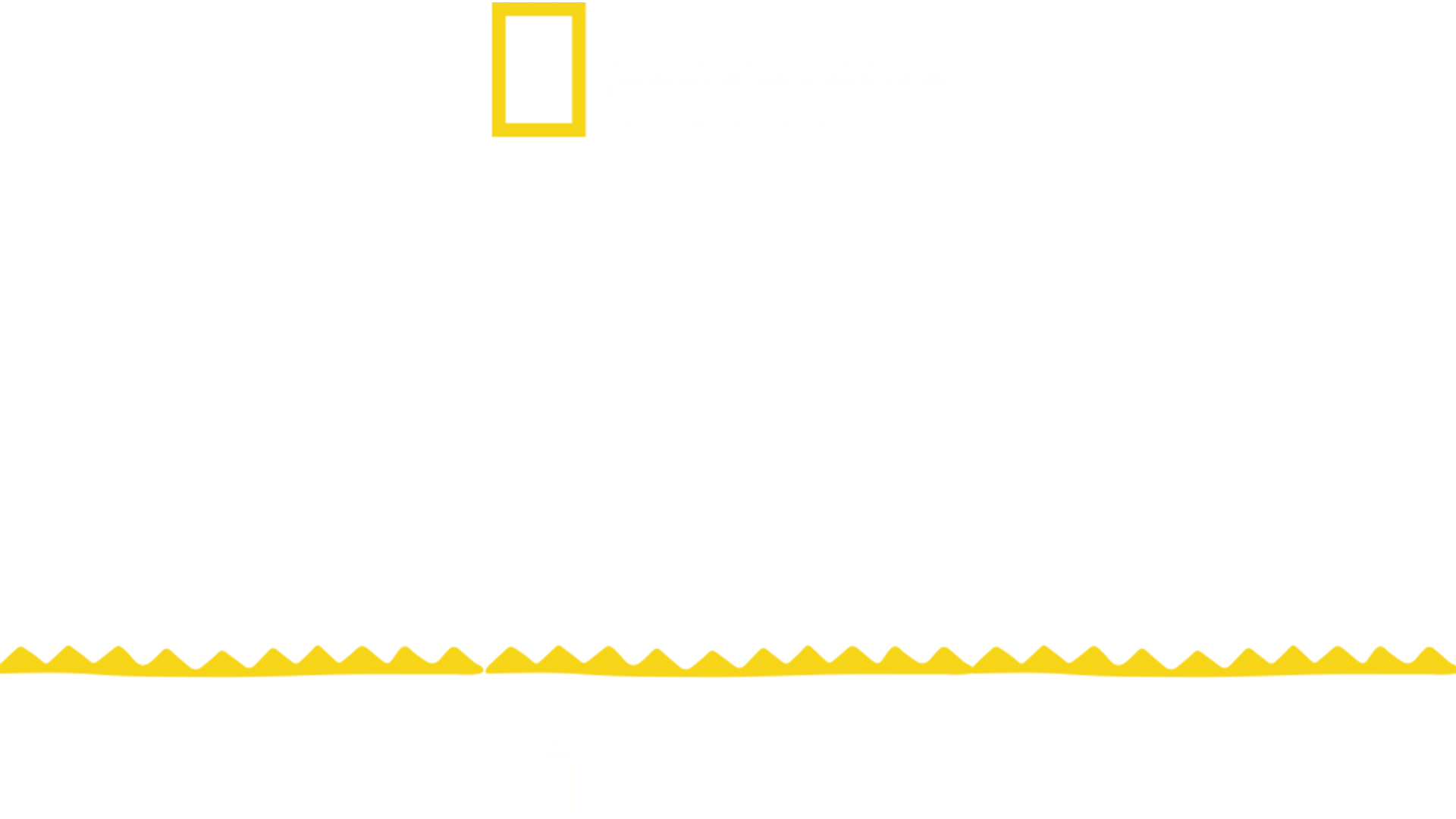 Ciudades perdidas: Tikal
