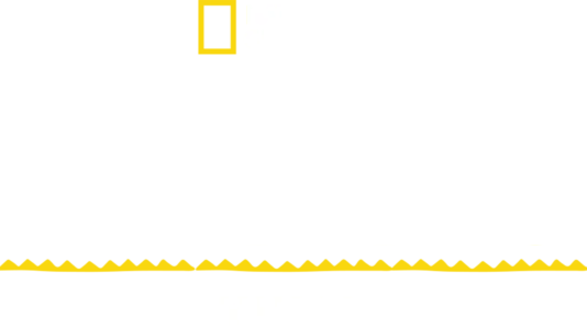 Ciudades perdidas: Tikal