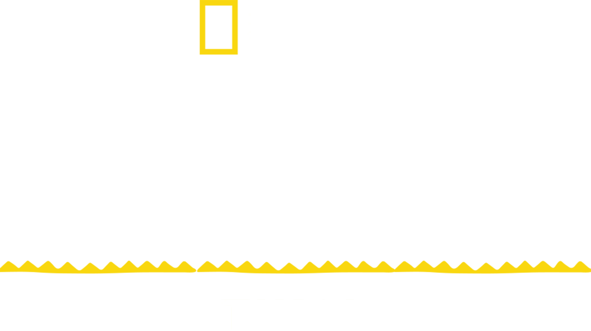 Ciudades perdidas: Tikal