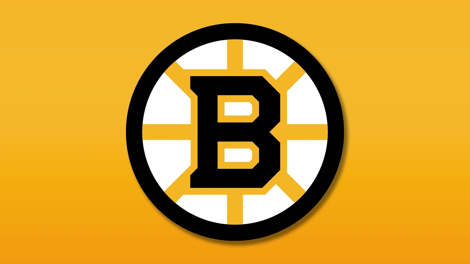 Boston Bruins