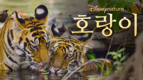 thumbnail - 호랑이