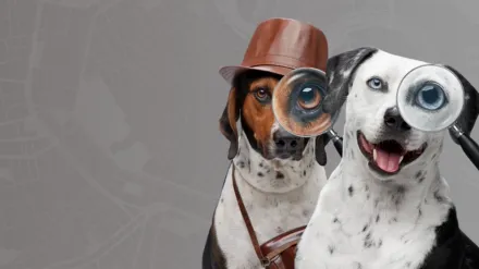 Pet Seekers