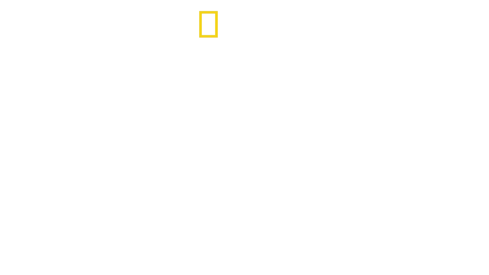 Expedition Amazon