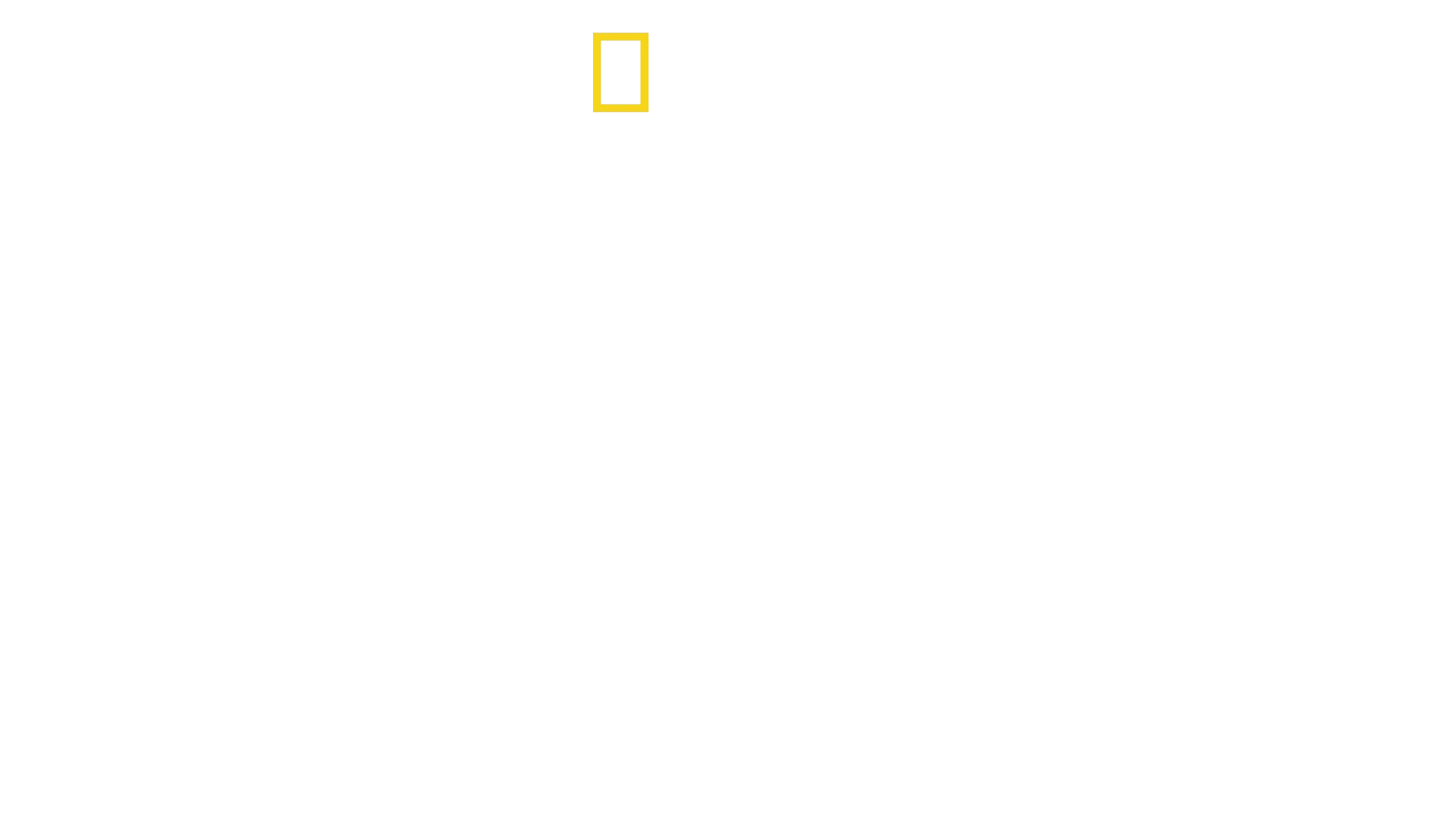Expedition Amazon
