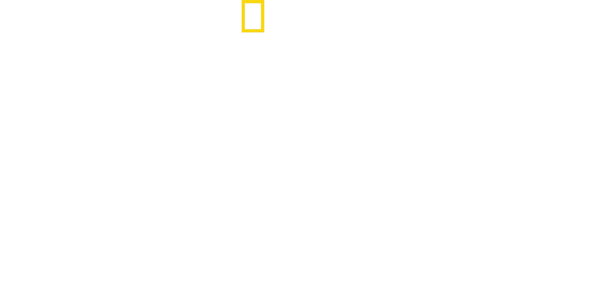 Expedition Amazon
