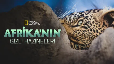 thumbnail - Afrika'nın Gizli Hazineleri