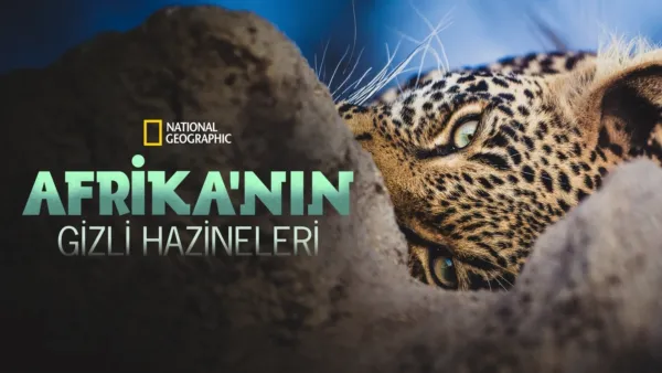 thumbnail - Afrika'nın Gizli Hazineleri